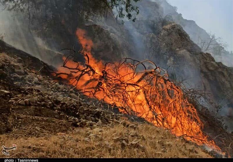 آتش‌سوزی 60 هکتاری جنگل‌های بلوط بلند در شهرستان اردل مهار شد