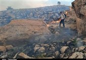 بوشهر| آتش‌سوزی در منطقه کوهستانی خاییز تنگستان اطفاء شد/ 60 هکتار از مراتع سوخت
