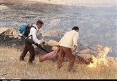 اطفاء حریق در منطقه کوهستانی بوشکان دشتستان استان بوشهر به روایت تصویر