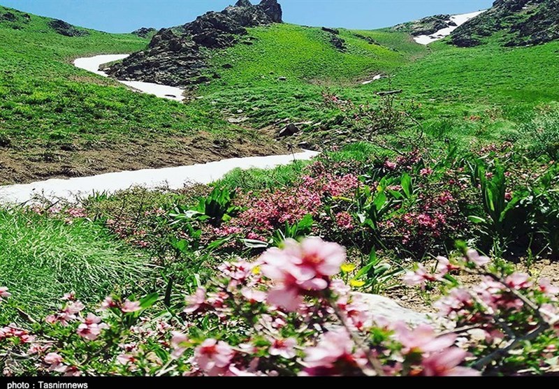 چشم‌اندازهای زیبای طبیعت بهاری «سارال» کردستان به روایت تصویر