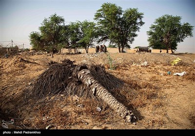 بی آبی غیزانیه - خوزستان