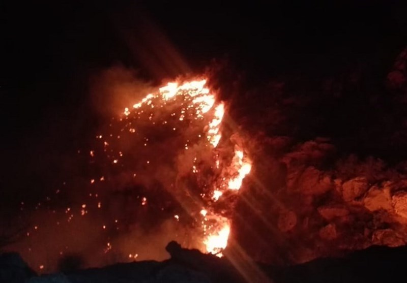 بوشهر| ارتفاعات جنگلی منطقه بوشکان دشتستان همچنان در آتش می‌سوزد