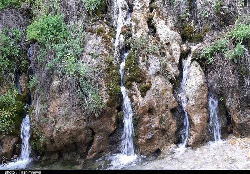 روز درختکاری , احیای منابع زیرزمینی آب , استانداری کهگیلویه و بویراحمد , 