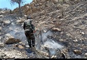 مهار آتش‌سوزی در ارتفاعات برم فیروز سپیدان پس از 8 ساعت جدال با آتش