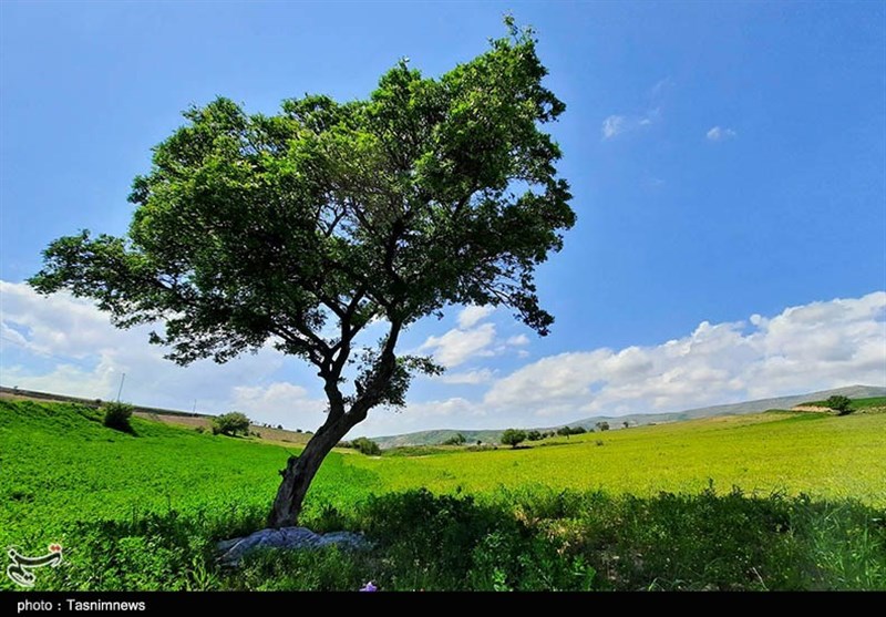 طبیعت زیبای بهاری استان خراسان شمالی به روایت تصاویر