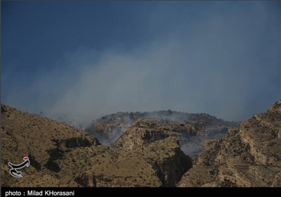 بیمهری به جنگل های زاگرس تمامی ندارد/ هنوز آبی بر دل آتشین جنگلهای خائیز نپاشیدهاند / خبری از اعزام بالگرد آبپاش نیست