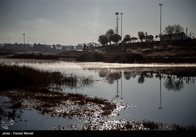  روزگار سیاه ساکنان مجاور رودخانه قره‌سو کرمانشاه با شدت یافتن بوی نامطبوع 
