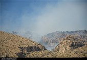 محل آتش سوزی منابع کوهستانی استان بوشهر با پهپاد شناسایی میشود