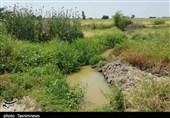 استاندار فارس: آبیاری زمین‌های کشاورزی با فاضلاب ممنوع است