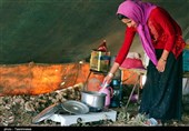 70 درصد تولیدات عشایر آذربایجان‌غربی در بازار هدف عرضه می‌شود
