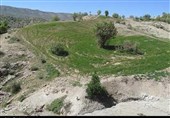منابع طبیعی استان کرمانشاه علیه تیغ تیز شخم بر اراضی ملی برخورد قاطعانه دارد