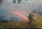 آتش‌سوزی در کمین مراتع و جنگل‌ها؛ 156 هکتار از مراتع و جنگل‌های استان کرمان در آتش‌سوزی از دست رفت