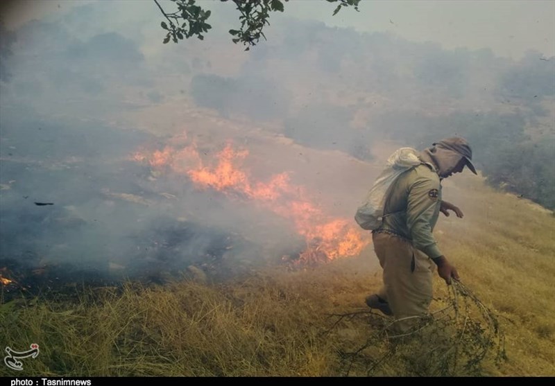 آتش‌سوزی در کمین مراتع و جنگل‌ها؛ 156 هکتار از مراتع و جنگل‌های استان کرمان در آتش‌سوزی از دست رفت