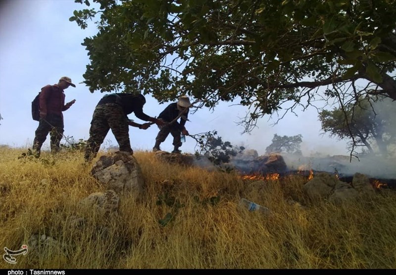 آتش‌سوزی جنگل‌های ارزوئیه منطقه صعب‌العبور کرمان مهار شد
