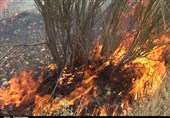 یکی از امدادگران هلال احمر اردل در آتش‌سوزی جنگل‌های کوه بلوط بلند جان باخت