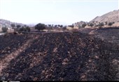 مهار آتشسوزی کوه مُورد باشت+تصویر