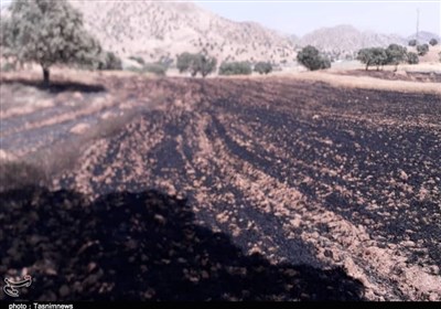  گروه‌های جهادی استان قزوین برای مقابله با آتش‌سوزی مراتع تجهیز می‌شوند 