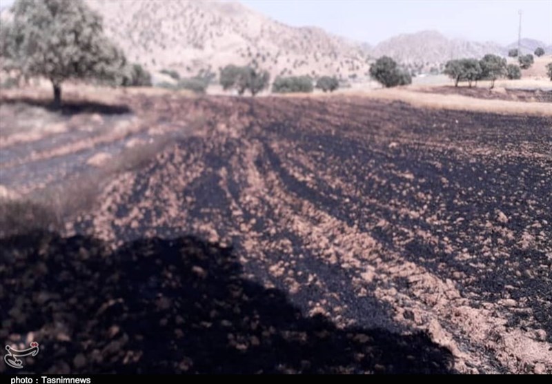 گروه‌های جهادی استان قزوین برای مقابله با آتش‌سوزی مراتع تجهیز می‌شوند