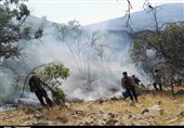 دادستان کهگیلویه: هیچ فردی در ارتباط با آتش‌سوزی خائیز دستگیر نشده است