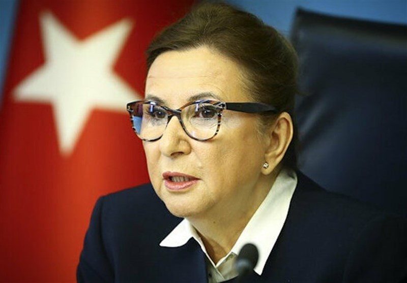 وزیر تجارت ترکیه:‌ مرزهای زمینی با ایران و عراق باز شد