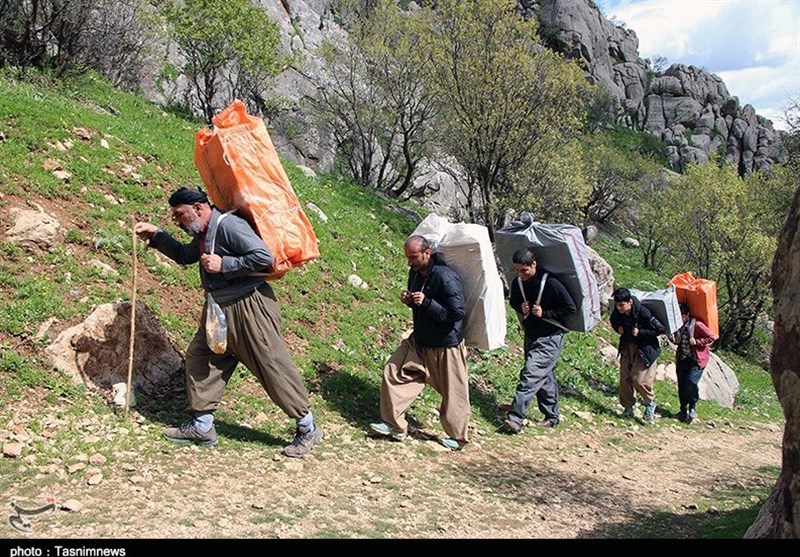 ‌روزگار غریب ‌کولبران‌| روایت تسنیم از قشری که تنها مانده‌اند‌ / این روزها بر کولبران چه می‌گذرد؟