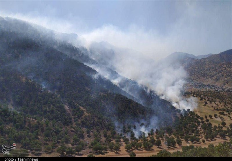 کرمان| 10 هکتار از مراتع و جنگل‌های صوغان شهرستان ارزوئیه در آتش سوزی از بین رفت