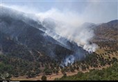 آتش‌سوزی 3.5 میلیارد تومان به مراتع و جنگل‌های استان بوشهر خسارت زد