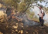 گزارش| روایتی از مهار ‌زبانه‌های بی‌رحم آتش در &quot;خائیز&quot; / جوانان جهادی چگونه جنگل‌های زاگرس را نجات دادند؟ + فیلم