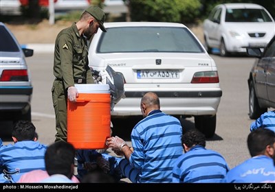 طرح کاشف پلیس آگاهی تهران