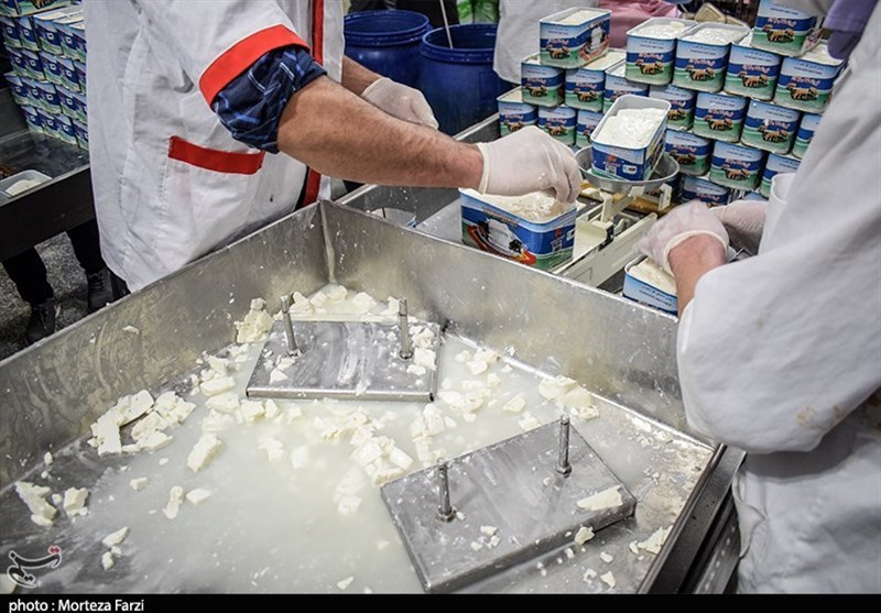 لرستان به پاکستان 50 تن پودر آب پنیر صادر کرد