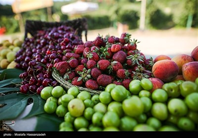 اولین همایش انجمن فعالان گردشگری کشاورزی ایران -گلستان