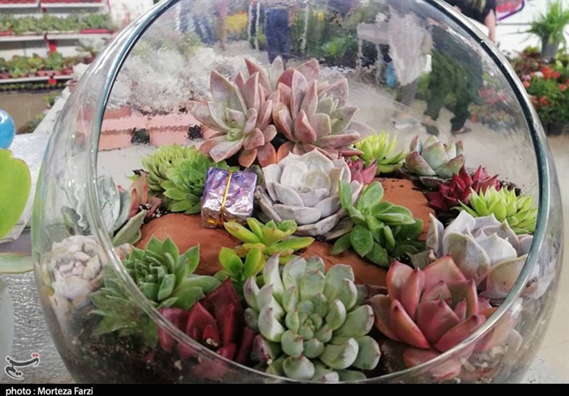شانزدهمین نمایشگاه فضای سبز و چهاردهمین نمایشگاه گل و گیاه در تبریز به روایت تصویر