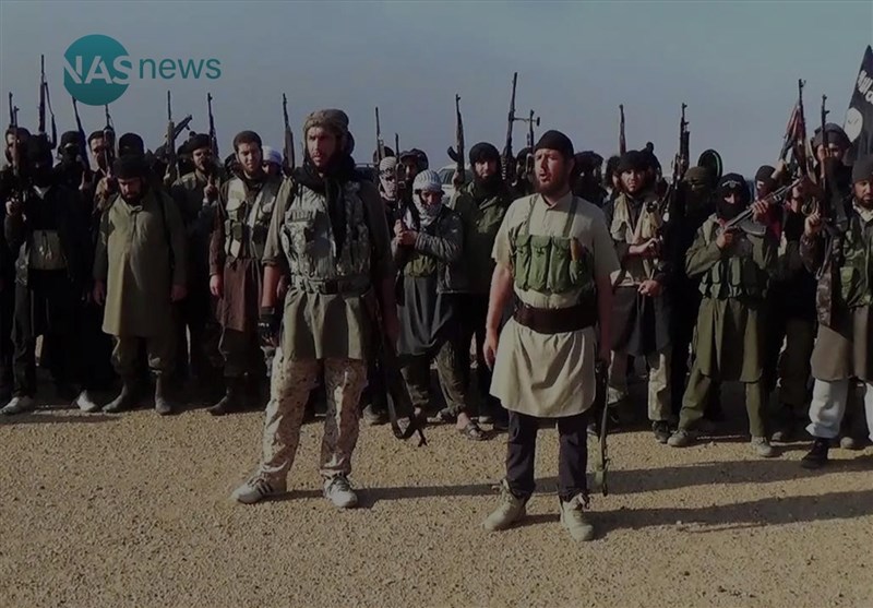 افشای فعالیت 7 هزار تروریست داعشی در عراق و سوریه