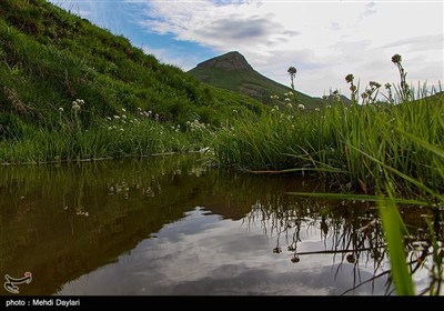 طبیعت بهاری منطقه ارسباران