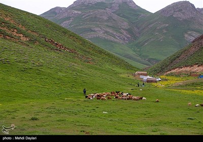 طبیعت بهاری منطقه ارسباران