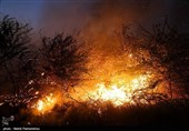 تازه‌ترین جزئیات آتش‌سوزی در زیستگاه قوچ و میش خوزستان؛ 15 هکتار از اراضی در آتش سوخت