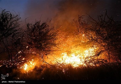  تازه‌ترین جزئیات آتش‌سوزی در زیستگاه قوچ و میش خوزستان؛ ۱۵ هکتار از اراضی در آتش سوخت 