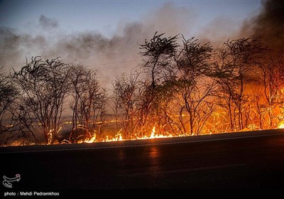 آتش زدن مزارع بعد از برداشت محصول - خوزستان