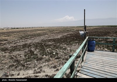 مرگ تدریجی سواحل استان گلستان