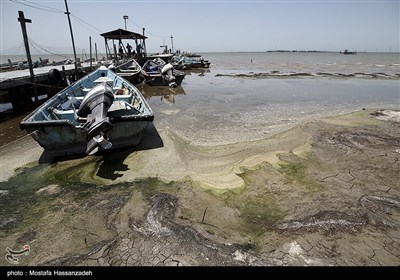مرگ تدریجی سواحل استان گلستان