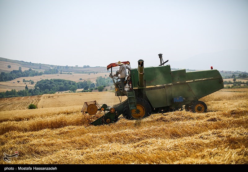 گزارش|‌نارضایتی کشاورزان اردبیلی از نرخ پایین خرید گندم / قیمتی که متناسب با هزینه تولید و برداشت نیست + فیلم