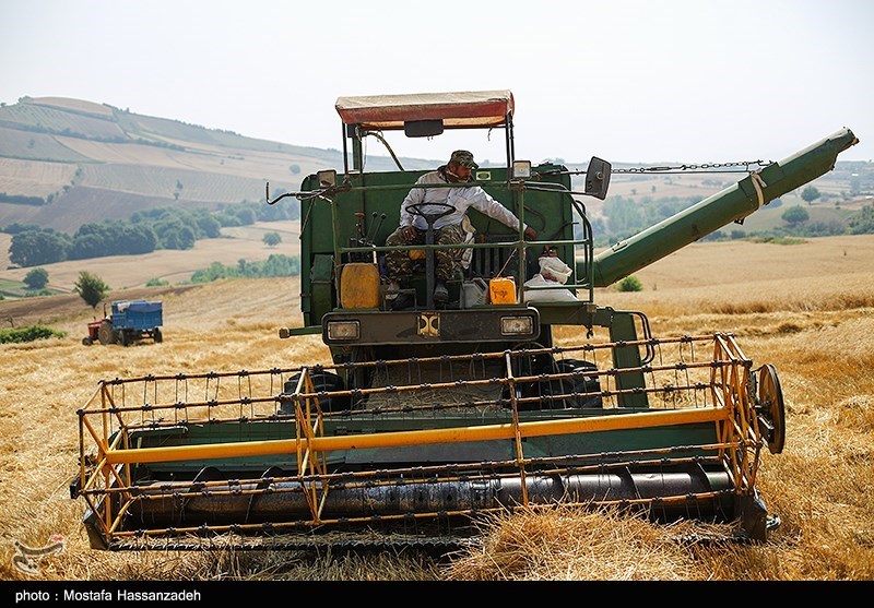چرا کشاورزان رغبتی برای تحویل گندم به سیلوهای خراسان شمالی ندارند؟