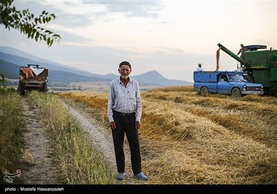 گندمكاران گلستان اين روزها از برداشت محصول خوب خوشحال بوده و جشن شكرگزاري برگزار می كنند