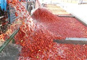 ایجاد 18 هزار شغل توسط بنیاد برکت در بخش کشاورزی کردستان