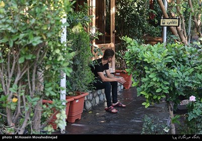 پلمب باغ رستورانی در منطقه فرحزاد