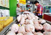 400 تن مرغ تنظیم بازار در استان کرمانشاه توزیع می‌شود‌