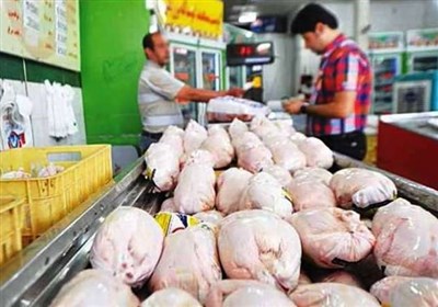  ۴۰۰ تن مرغ تنظیم بازار در استان کرمانشاه توزیع می‌شود‌ 