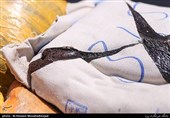 کشف 82 کیلو تریاک در شهرستان جنوبی استان بوشهر