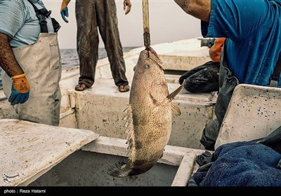 بمناسبت روز جهانی دریانوردی