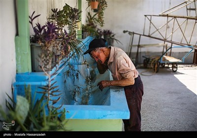 مسگری یکی از بهترین صنایع دستی کهن ایران است که از حدود پنج هزار سال قبل از میلاد در ایران رایج بوده ‌است